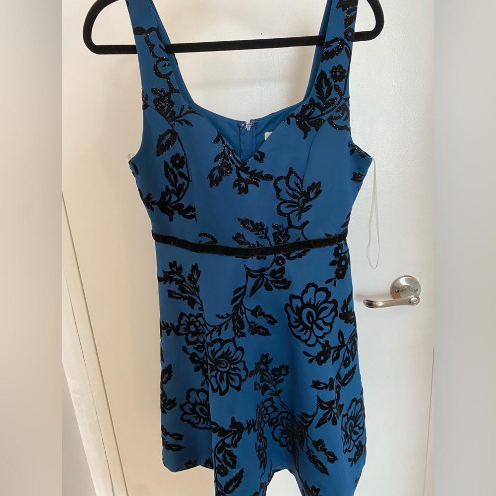 Francesca’s Blue Dress